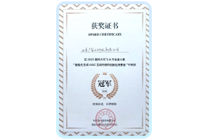 科大讯飞AI开发者大赛 冠军及十佳团队